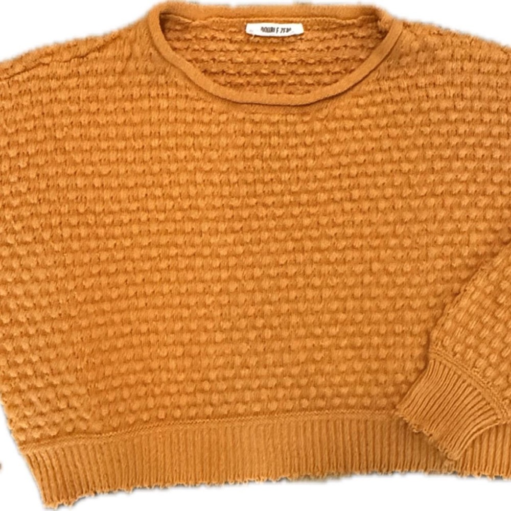 Fall Cropped Sweater